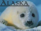 Alaska3.webp