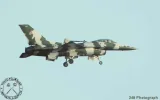 f16.webp