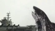 shark.webp