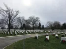 Arlington.webp