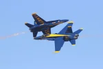 Opposing Solos1 Sept 22 2019.webp