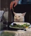 23678