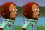24271