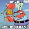 24473