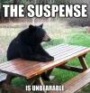 xunbearable-wait-meme.jpg.pagespeed.ic.Ek-jnjWOzJ.webp