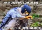 25028 25028