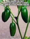 25350