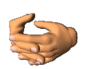 25596 25596