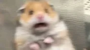 25963