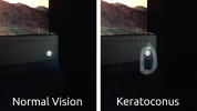 27406 27406