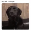 28489