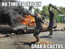 no-time-to-explain-grab-a-cactus.webp