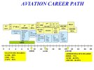 Aviation Career Path.jpg