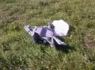 crash3.webp