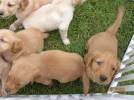 DSCN0264.webp