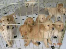 DSCN0277.webp