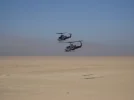 2snakes.webp