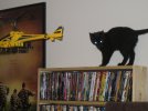bladecx-and-cat.jpg