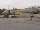 P1000600.webp