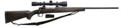 American Savage 270.jpg