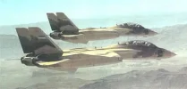 Iranian Tomcats.webp