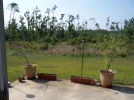 house rental1 002.webp