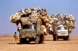 truck.webp