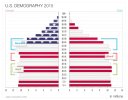 5.2-us-demography-2015.jpg