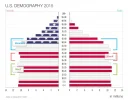 5.2-us-demography-2015.webp
