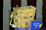 33528 33528