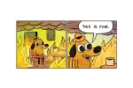 33952