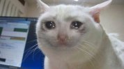 cat-cry.jpg