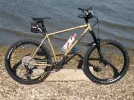 1 Surly.webp