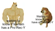 1655826410206.webp