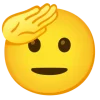 1660181408487.webp
