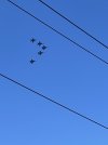 3AB6DAAE-1582-4406-A09E-20C3F8A6D4A1.jpeg