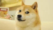 6E3C0C1F-E8EE-4D6B-ACF5-9F6E1CC28587.webp 6E3C0C1F-E8EE-4D6B-ACF5-9F6E1CC28587.webp