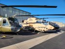 helos.jpg