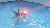 sharklaser.jpg