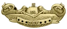 DBF pin.webp
