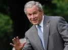 bush.webp