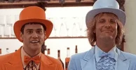 dumb20and20dumber.original.webp dumb20and20dumber.original.webp