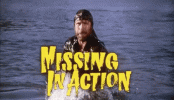 missing-in-action-chuck-norris.gif
