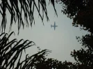 mars2.webp