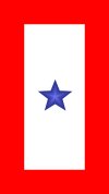 bd_onestarservicestarbanner.jpg