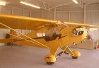 Cub_Checkered Tail.webp Cub_Checkered Tail.webp