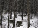 IMG_1249A.JPG