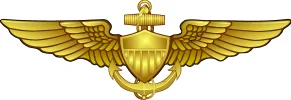 PilotGood.webp