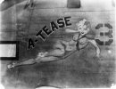 b2911.jpg