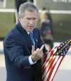 the finger.webp